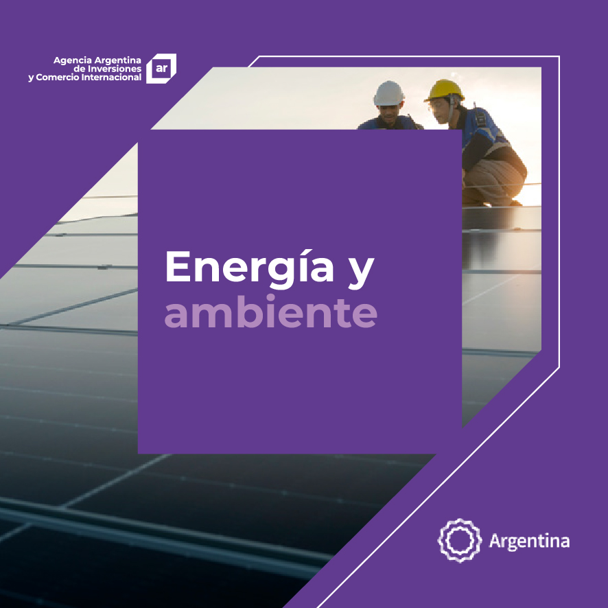 https://inversionycomercio.org.ar/images/publicaciones/Oferta exportable argentina: Energía y ambiente